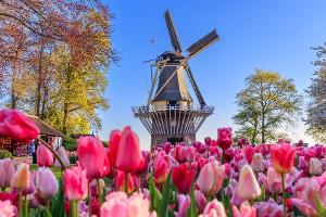 Der Frühling steht vor der Tür: Die schönsten Gärten der Welt