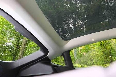 Tesla, Model Y, Car Camping, E-Wagen, Glasdach
