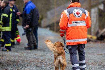 Bei der Suche nach einem vermissten sechsjährigen Jungen in Weilburg kommen auch Rettungshunde zum Einsatz.