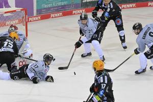 DEL: Pinguins lassen Köln zittern - Ingolstadt wieder auf Kurs
