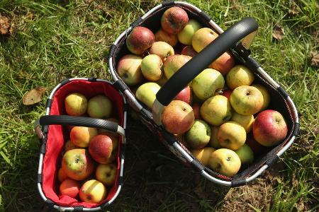 Wo stehen Apfel und Banane?