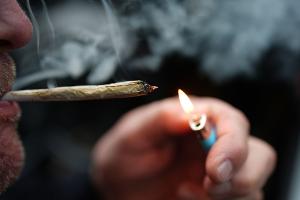 Umfrage: Keine Mehrheit für Rückkehr zu Cannabis-Verbot
