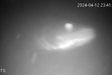 Schemenhafter Fisch unter Wasser vor einer Kamera