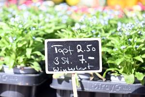 Inflationsrate sinkt auf 2,2 Prozent - Lebensmittel teurer