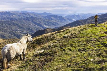 Reise Valle Argentina