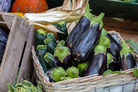 Aubergine