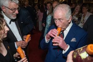 Royale Rübe: König Charles spielt Karottenflöte mit Gemüse-Orchester