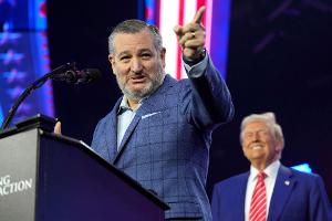 Parteifreund über Trump-Zölle: politisches "Blutbad" möglich