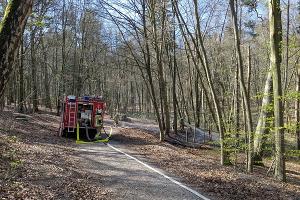 Waldbrand am Sternberg schnell unter Kontrolle