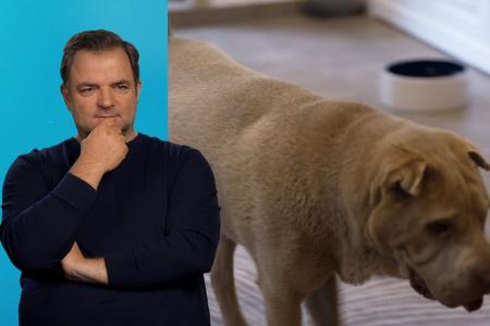 Die Unvermittelbaren - Mit Martin Rütter
