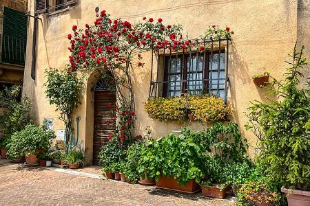 Montepulciano