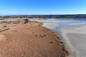 So wirkt sich das Bodensee-Niedrigwasser aus