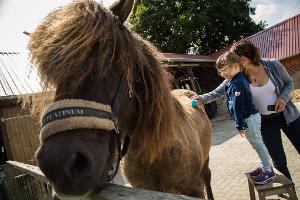 7 Mythen zur Tierallergie im Check