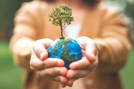Der Klimaschutz wandert vom Wirtschafts- in das Umweltministerium (SPD). Aus dem Ministerium für Bildung und Forschung wird ein Ministerium für 