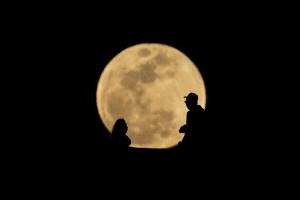 Faszination Vollmond: Was ist Fantasie und was sind Fakten?