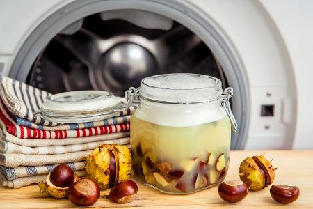 DIY-Waschseife aus Kastanien