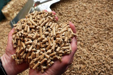 German Pellets war nach eigenen Angaben einst Weltmarktführer bei Herstellung und Vertrieb von Holzpellets für Heizungen.