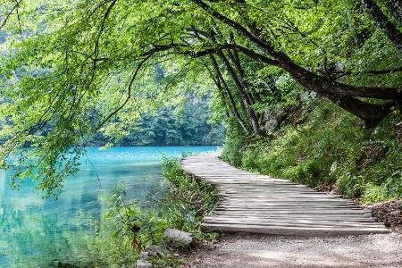 Zeit in der Natur - so oft wie möglich