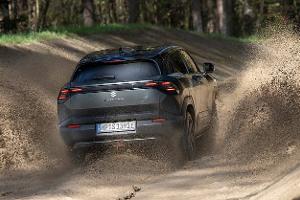 Was kann Suzukis erstes E-Modell?