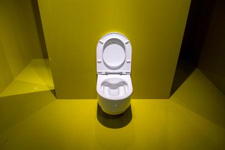 Kein Grund zur Panik: Schäumender Urin kann harmlos sein – oft sind Putzmittelrückstände in der Toilette die Ursache. Kein Grund zur Panik: Schäumender Urin kann harmlos sein – oft sind Putzmittelrückstände in der Toilette die Ursache.