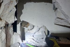 NACHTRAG zu: Aufwendige Tierrettung / undankbare Katze