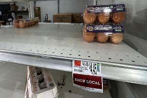 Ostern in den USA - Eier oder Kartoffeln färben?
