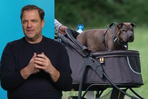 Verwahrloste Hündin hat ein Martyrium hinter sich - Martin Rütter ist fassungslos