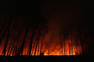 Tausende fliehen vor Waldbrand im US-Bundesstaat New Jersey