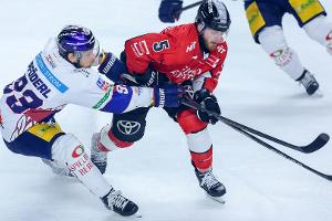 Eisbären souverän: Noch ein Sieg fehlt zum elften Titel