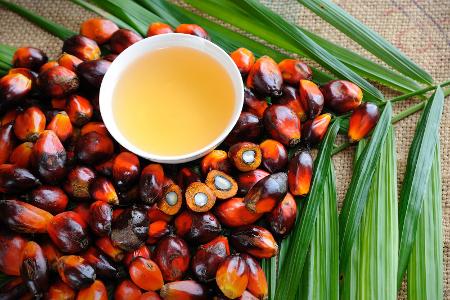 Zu viele Omega-6-Fettsäuren
