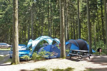 Waldcamping Erzgebirge 