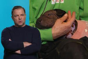 Endlich Hoffnung für Sorgen-Hündin Jessi - doch dann wird sie wieder enttäuscht