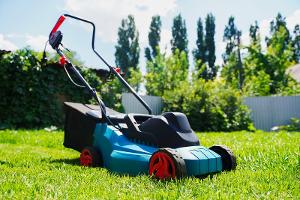 "No Mow May": Darum bleibt der Rasenmäher im Mai stehen