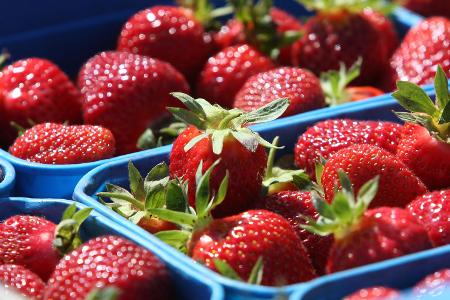 Erdbeeren