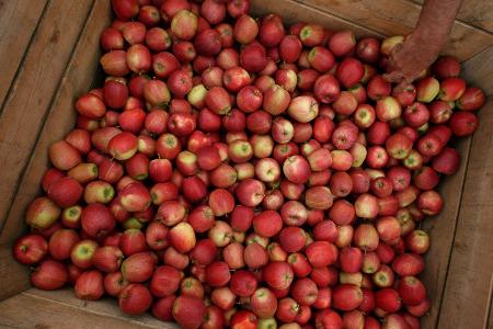Apfel