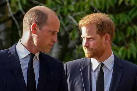 Ein seltenes Bild: Die beiden Royal-Brüder William (l.) und Harry auf einem Foto. (Archivbild)