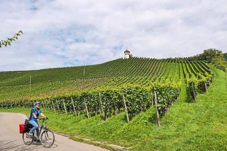 Camping am Bodensee