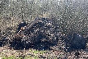 Großefehn - Unerlaubter Umgang mit Abfällen