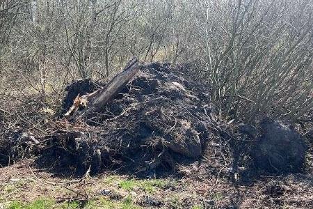 An einem Wegesrand in Großefehn wurde unerlaubt eine große Menge Baumwurzeln, Strauchschnitt und Erde entsorgt. An einem Wegesrand in Großefehn wurde unerlaubt eine große Menge Baumwurzeln, Strauchschnitt und Erde entsorgt.