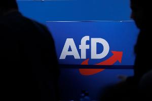 AfD zieht gegen Verfassungsschutz erneut vor Gericht