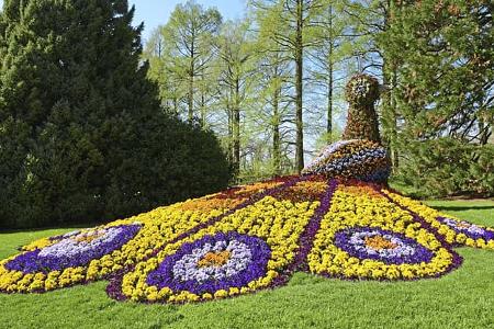 Insel Mainau