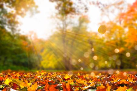Oktober warm und fein
