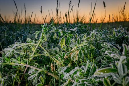 Frostiges Wetter in Brandenburg