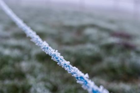 Eisige Temperaturen im Hochschwarzwald 