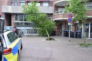 Nordhorn - Baum umgefahren und geflüchtet - Zeugen gesucht
