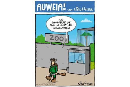 Alltäglicher Humor und Vögel