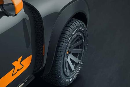 Delta 4x4 und X-raid Mini Countryman Beast