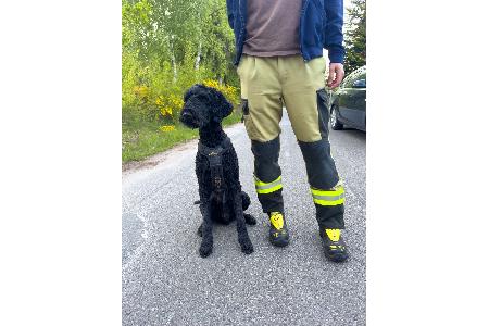 Mehrere Hunde, darunter zwei Mantrailer, kamen zum Einsatz. Mehrere Hunde, darunter zwei Mantrailer, kamen zum Einsatz.