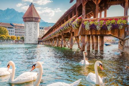 Besuch in Luzern