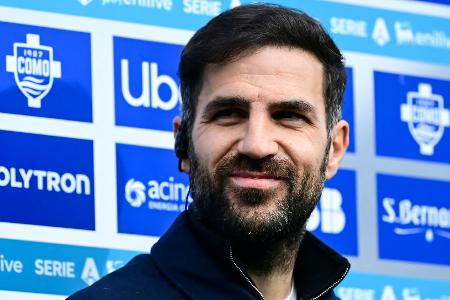 Gazzetta dello Sport: Gespräche zwischen Bayer und Fàbregas Gazzetta dello Sport: Gespräche zwischen Bayer und Fàbregas